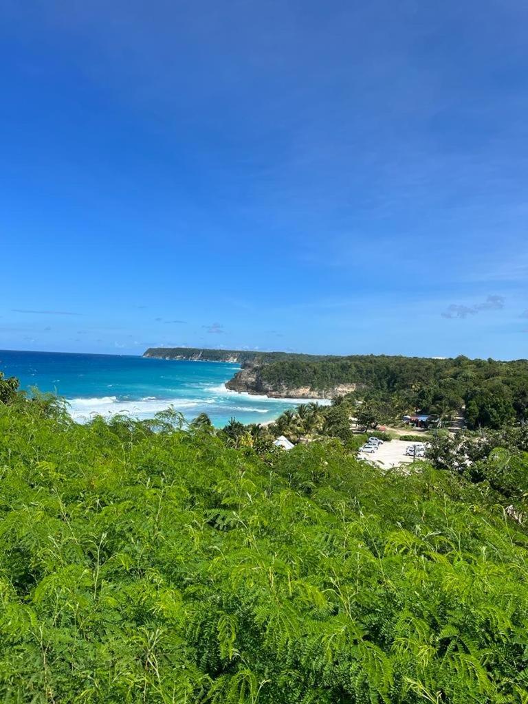  La Kaz A Coyoky Villa Anse-Bertrand Ngoại thất bức ảnh